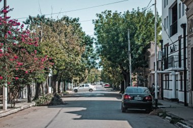 Street view of sunny city
