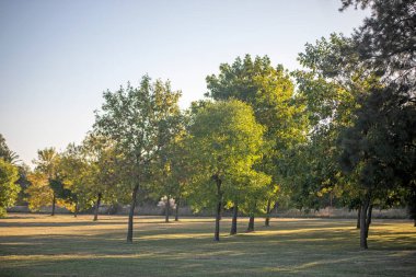 Parkın güzel manzarası