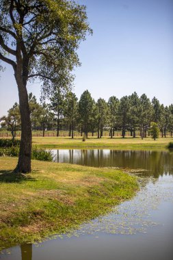 Parkın güzel manzarası