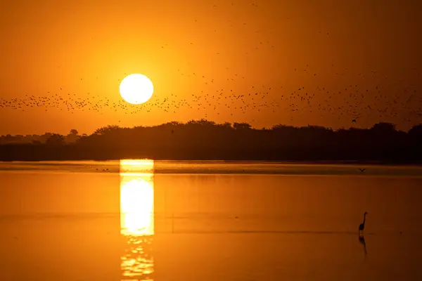 Pôr Sol Sobre Lago — Fotografia de Stock