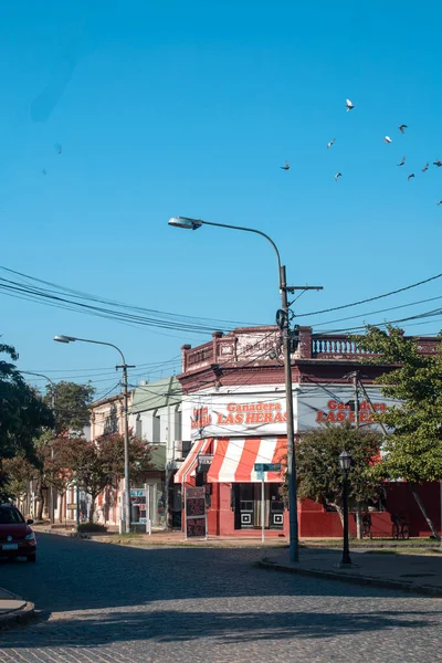 鸟儿飞过城市街道 — 图库照片
