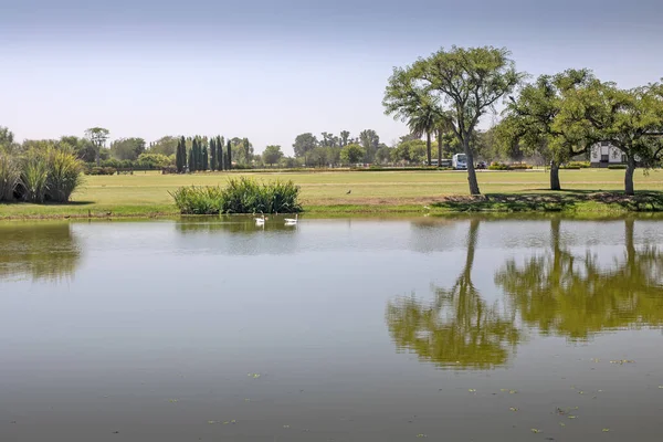 stock image beautiful view of the park lake