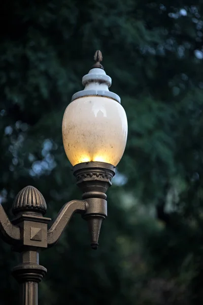 Street Lamp Парке — стоковое фото