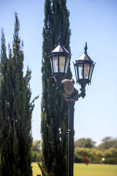 Utcai Lámpa Napfényes Parkban — Stock Fotó