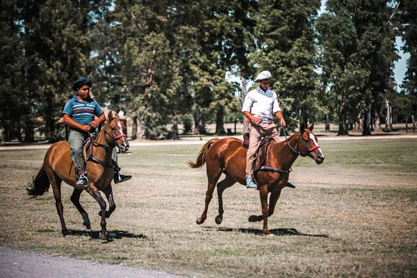 Homens Montando Cavalos Campo — Fotografia de Stock
