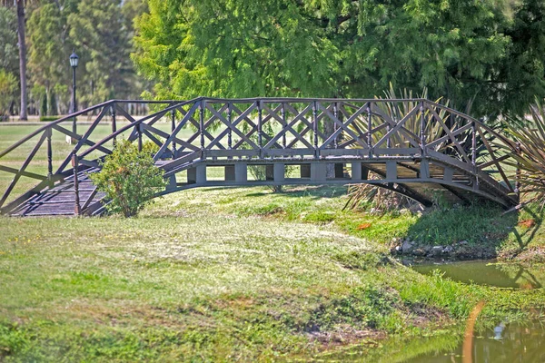 Ponte Sul Fiume Nel Parco Verde — Foto Stock