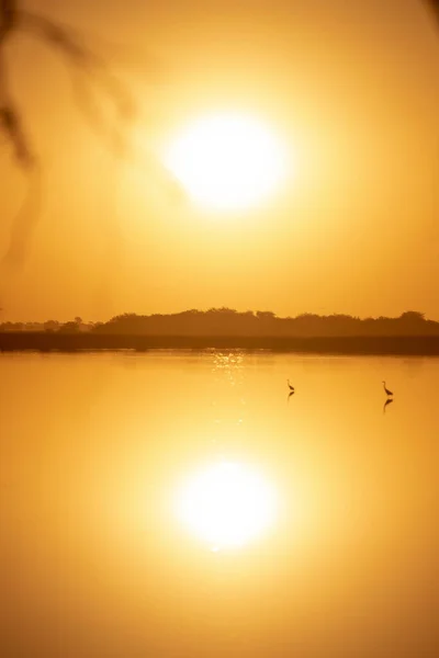 Belo Pôr Sol Amarelo Lagoa — Fotografia de Stock