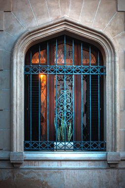  İçinde bitki olan bir pencere ve mavi demir bir kapı.