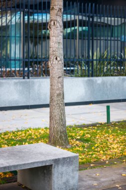  Parkta bir ağacın yanında oturan bir bank.