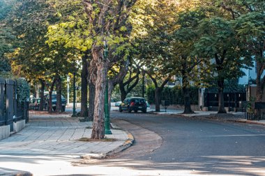  Ağaç kaplı kaldırımı olan bir cadde ve caddeden geçen bir araba.