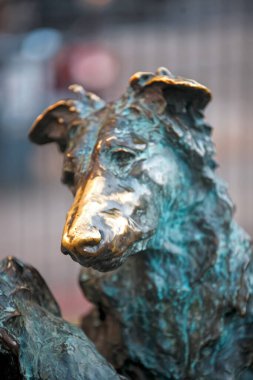 Şehirdeki köpeğin heykeli. 