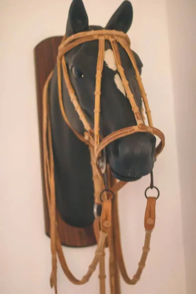 納屋の壁にあった馬の頭の垂直クローズアップショット — ストック写真