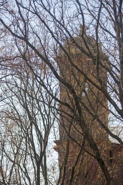 a clock tower in the distance with trees in the foreground