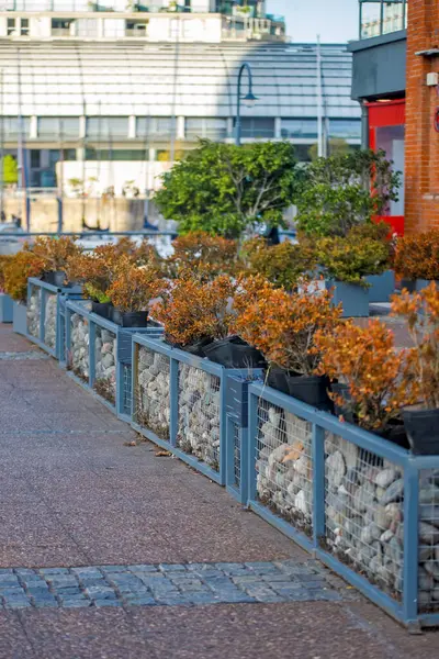  Kaldırımda kırmızı şemsiyeli bir adam yürüyor.