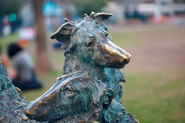 Bronze Statue Hund - Stock-foto