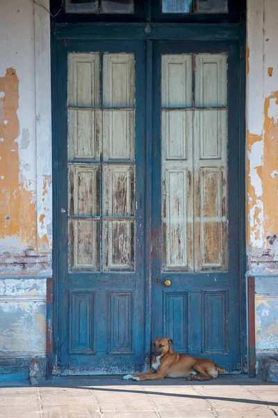 a dog laying on the ground in front of a door