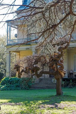 Buenos Aires 'te yeşil bitkilerle çevrili bir ev.