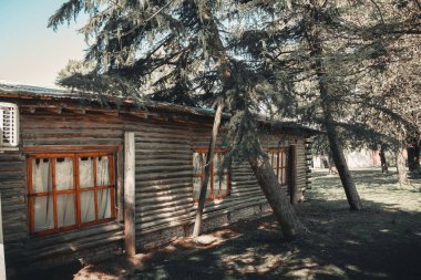 Buenos Aires 'te yeşil bitkilerle çevrili bir ev.