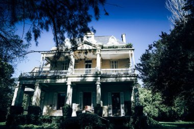 Buenos Aires 'te yeşil bitkilerle çevrili bir ev.