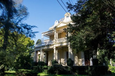Buenos Aires 'te yeşil bitkilerle çevrili bir ev.