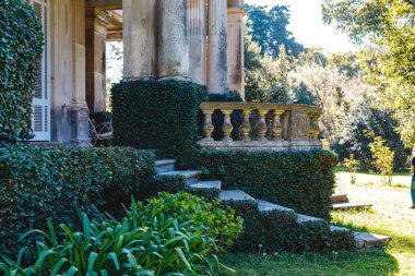Buenos Aires 'te yeşil bitkilerle çevrili bir ev.