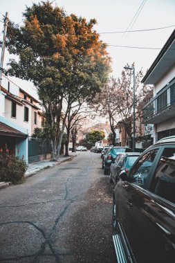 BUENOS AIRES, ARGENTINA - April 13, 2022: Street scene with architecture, transport and people 