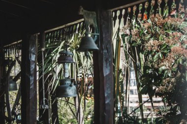 Buenos Aires 'te yeşil bitkilerle çevrili bir ev.