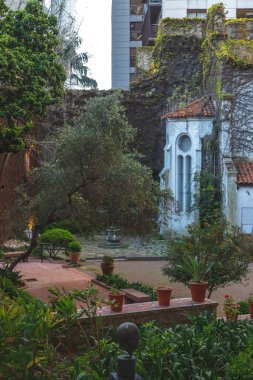 Buenos Aires 'te yeşil bitkilerle çevrili bir ev.