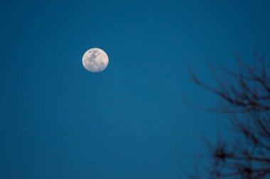 Gökyüzünde dolunay görülür.