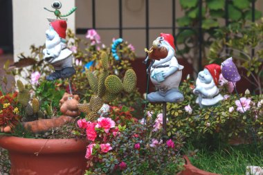 Bahçede bir sürü farklı bitki ve cüce var.