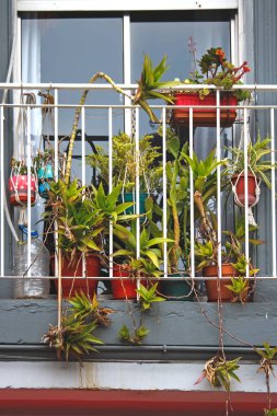 Buenos Aires 'teki eski pencere