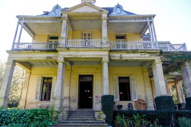 Buenos Aires 'te yeşil bitkilerle çevrili bir ev.