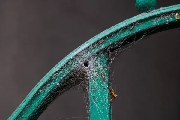 Green Chair Spider Web — Stock Photo, Image