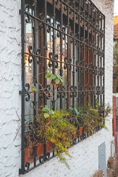 Buenos Aires 'teki eski pencere