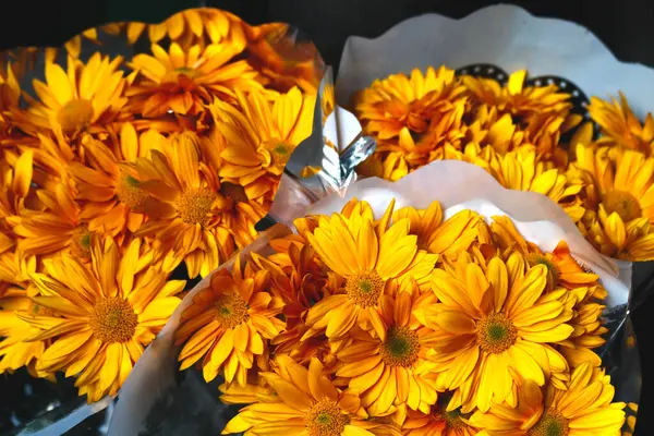 Bulanık Zemin Üzerine Sarı Çiçek — Stok fotoğraf