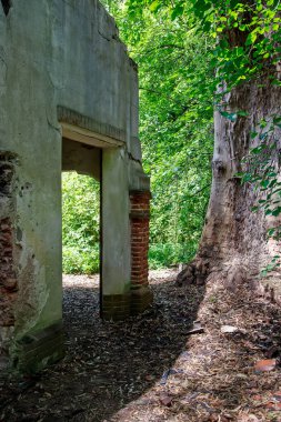 Buenos Aires 'teki terk edilmiş eski evin kalıntıları.