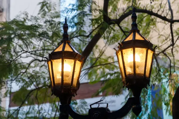 street lamp with green leaves and lamps