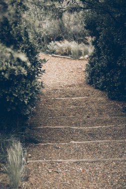 Güzel botanik fotoğrafı, doğal duvar kağıdı.