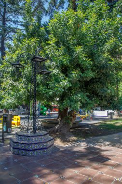 Tezgah ile güzel park