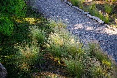 Güzel botanik fotoğrafı, doğal duvar kağıdı.