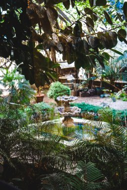 Parkın güzel manzarası