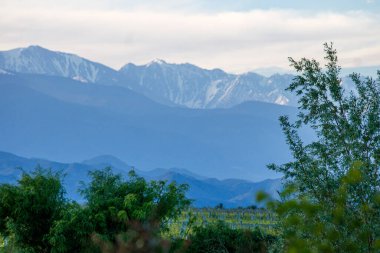 Ormandaki güzel dağlar