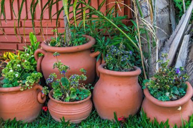 Bahçede çiçekli süslemeli kil saksı.