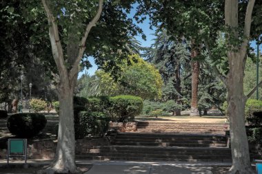 Parktaki merdivenler ağaçların arasında