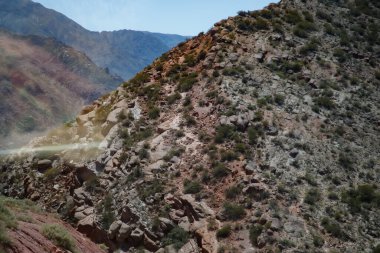 Yazın dağlara giden yol.