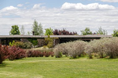 Ağaçları ve otları olan güzel bir bahçe