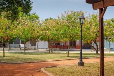 Buenos Aires, Arjantin 'deki şehir parkının güzel manzarası