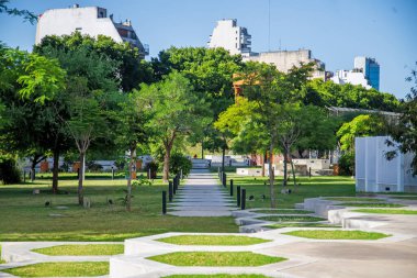 Yazın yeşil şehir parkı 