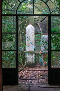 Buenos Aires Ormanı 'ndaki Terk Edilmiş Ev