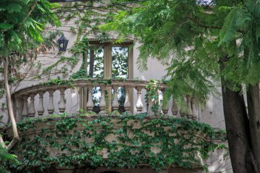 Evin güzel balkonu yeşilliklerle kaplı.